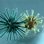 Brechdurchfall: Meist ist der Norovirus schuld an der Erkrankung